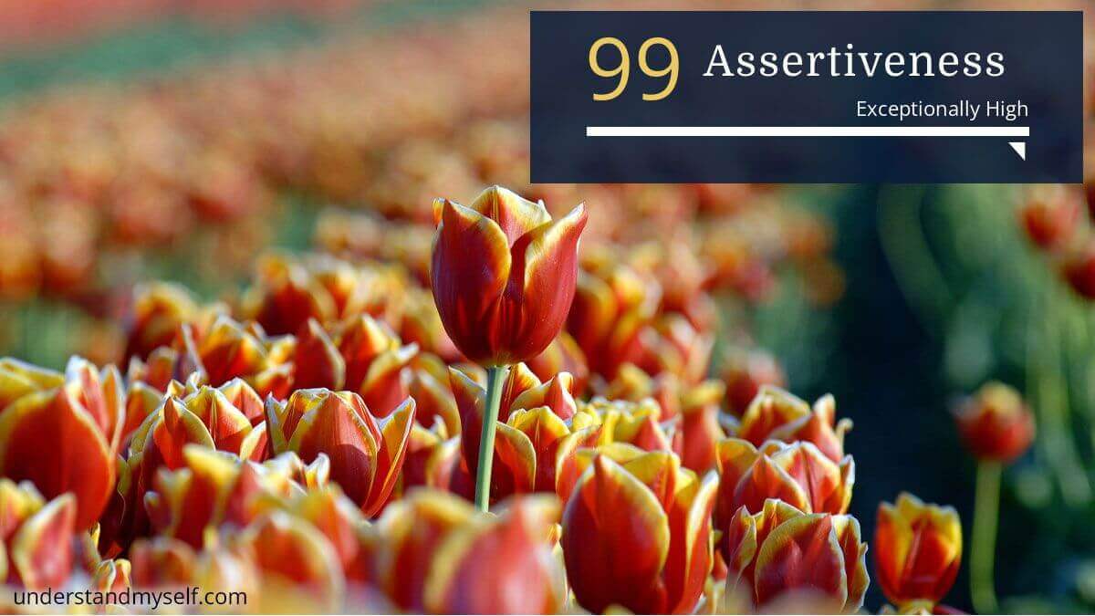 Assertiveness
